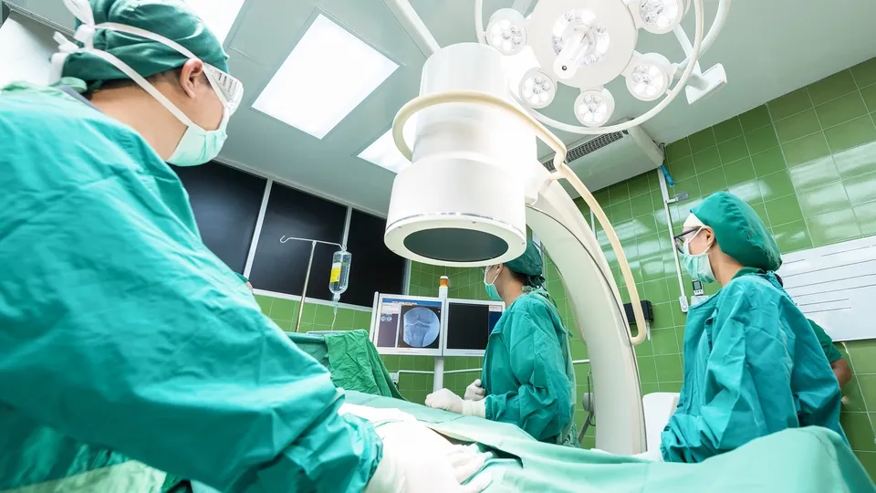 Фото: pxhere.com