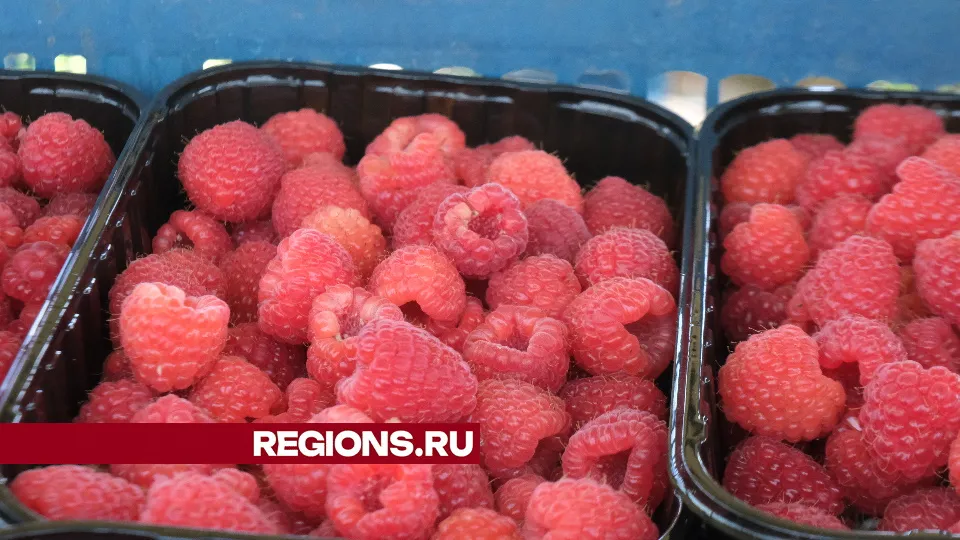 Фото: Мария Панина