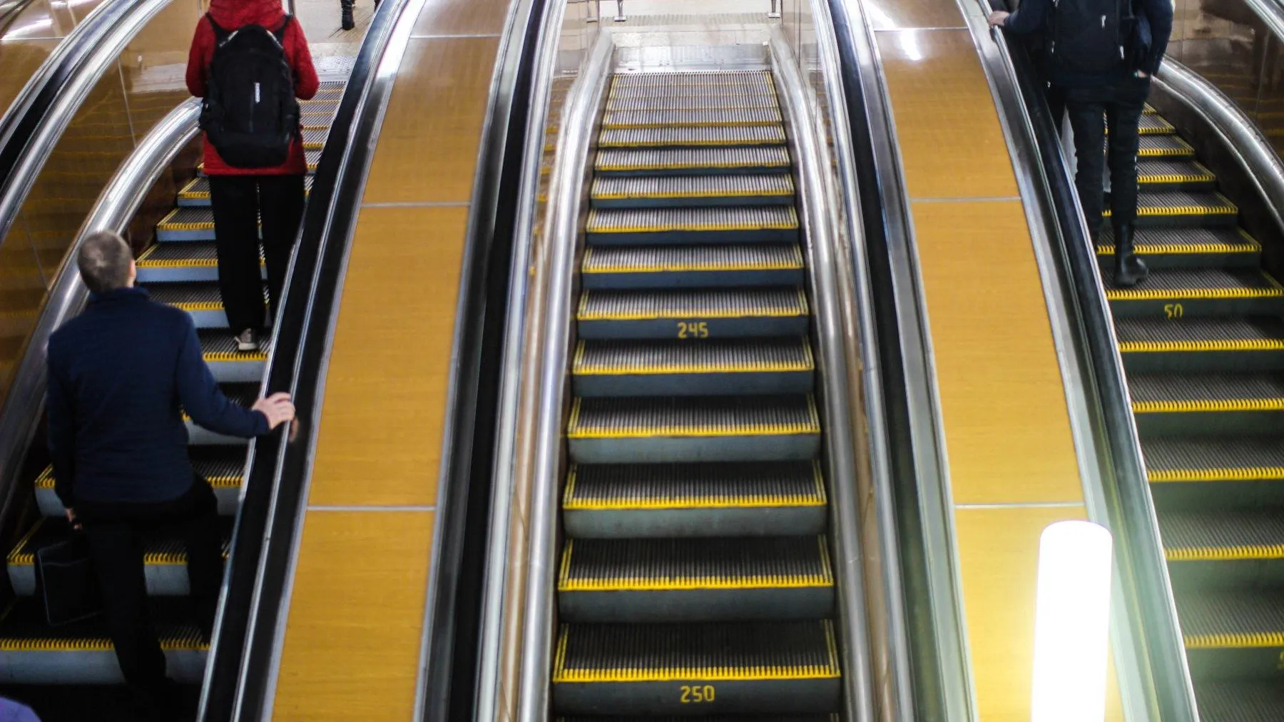 Фото: Илья Тушев / «Вести Подмосковья»