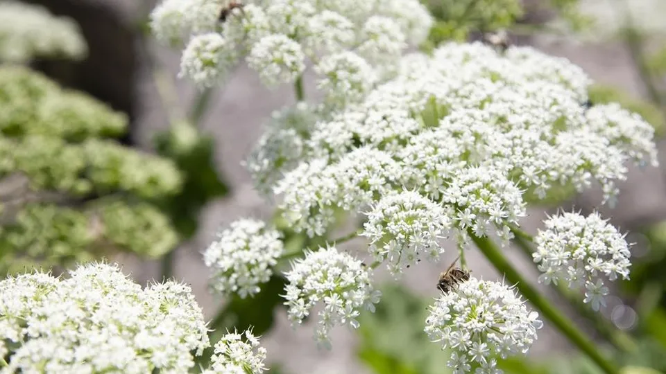 Фото: istockphoto.com