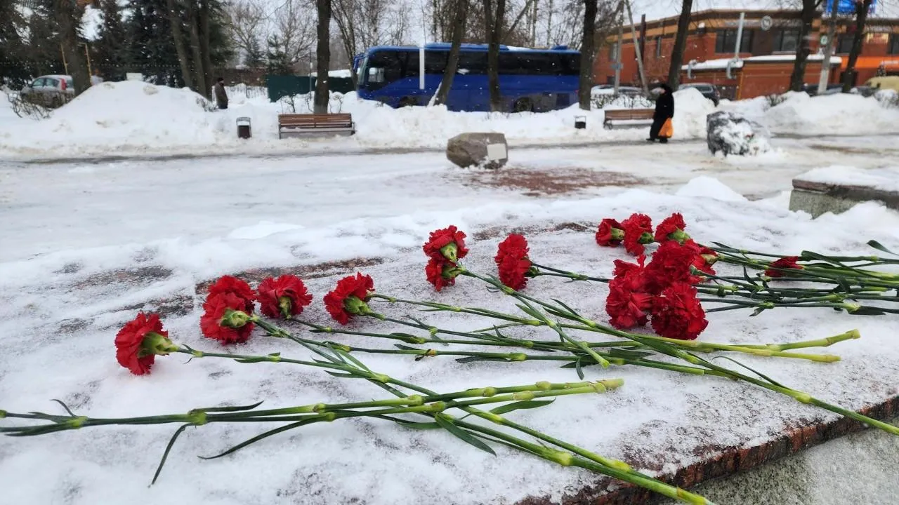 REGIONS/Екатерина Мелкозерова