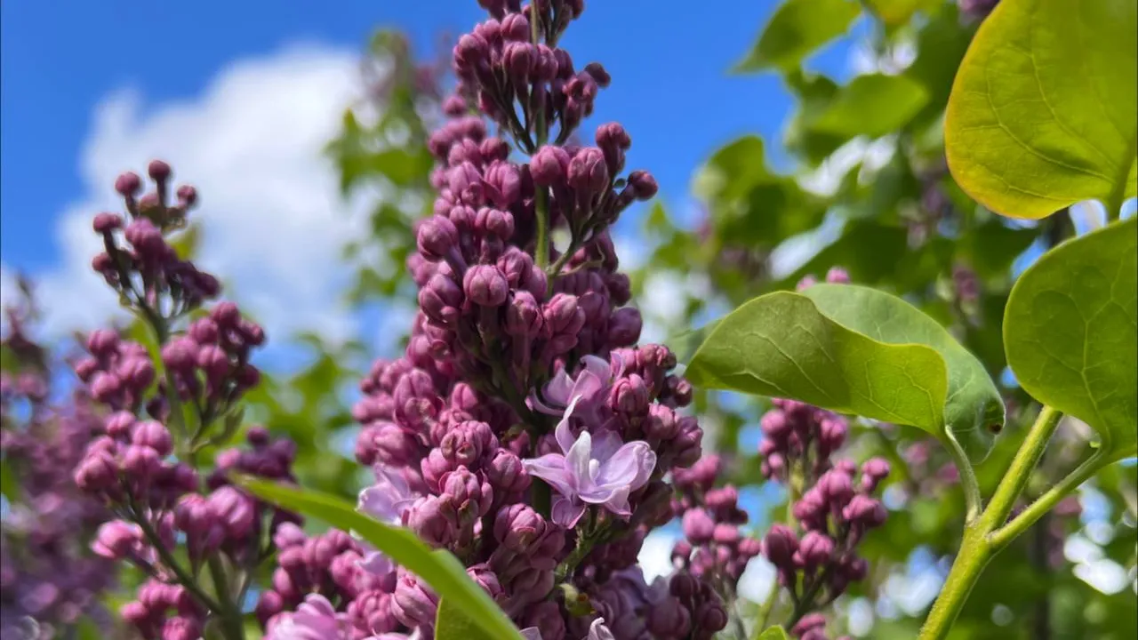 Фото: REGIONS/Татьяна Кордюкова