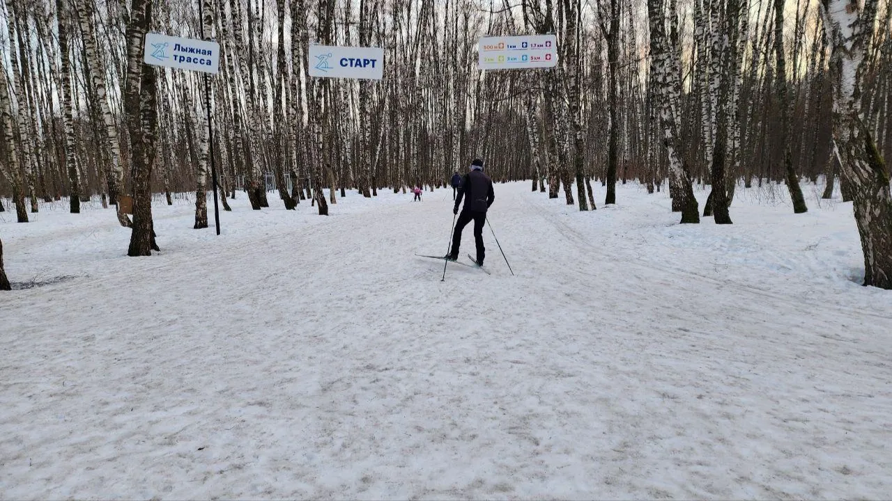 МедиаБанк Подмосковья/Эдуард Стратонов