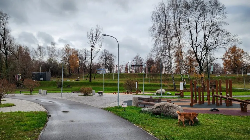 Фото: МедиаБанк Подмосковья/Ольга Антонова