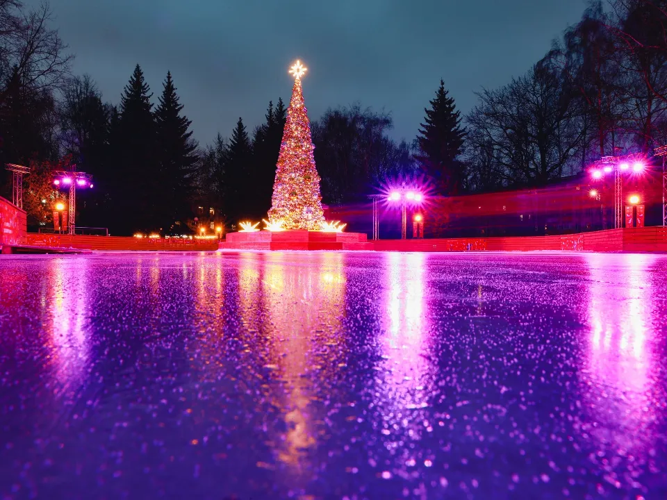 Фото: пресс-служба администрации г.о. Химки