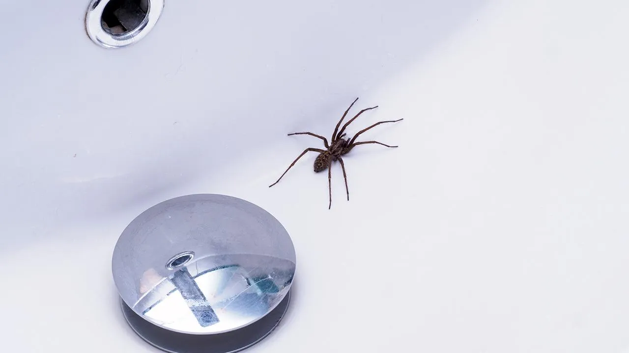 istockphoto.com/Gannet77