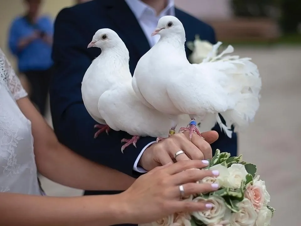 Фото: istockphoto.com