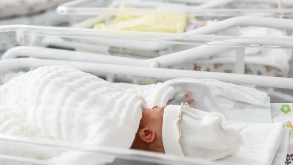 Фото: Министерство здравоохранения Московской области