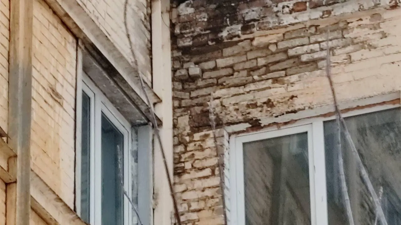 фото: соцсети