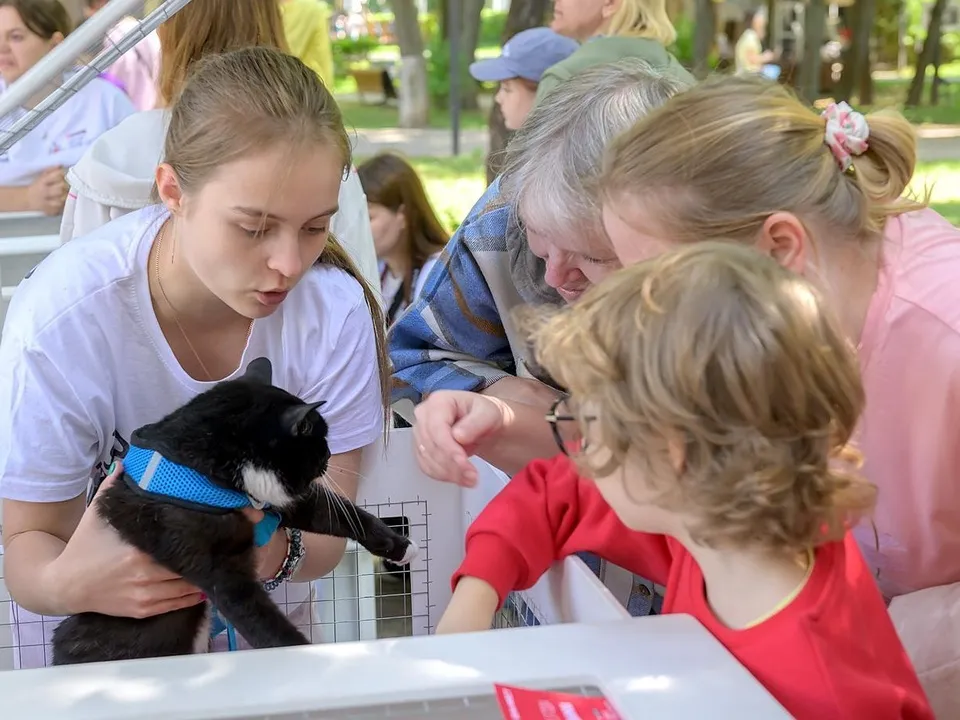 Фото: пресс-служба администрации г.о. Подольск