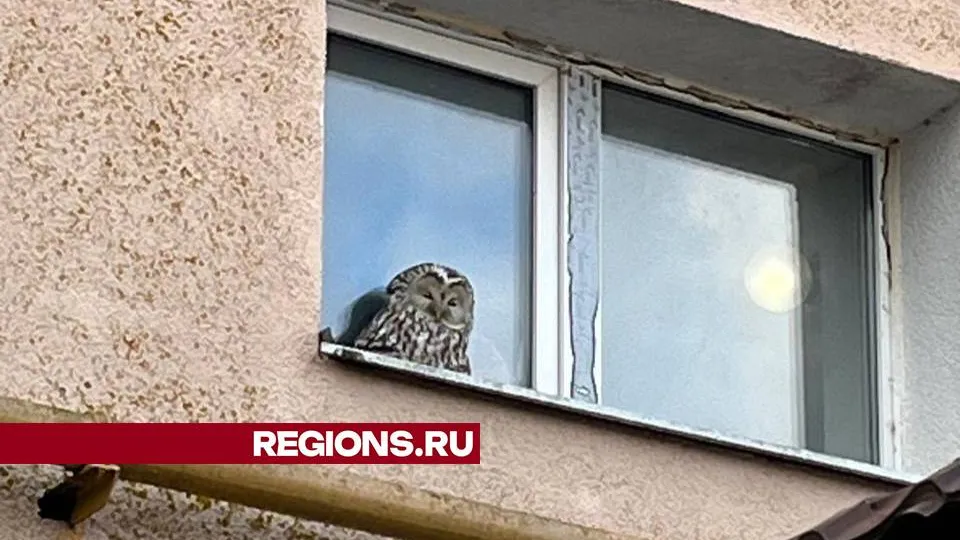 Фото: Ирина Королева