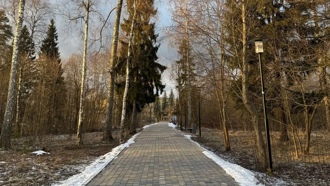 Марина Алифанова