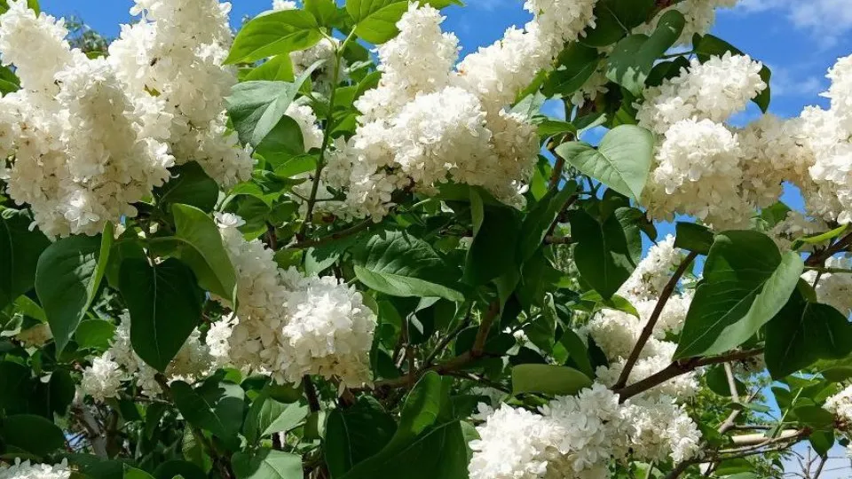 Фото: REGIONS/Людмила Матвиенко