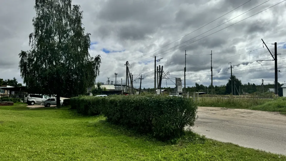 Фото: МедиаБанк Подмосковья/Татьяна Рунова