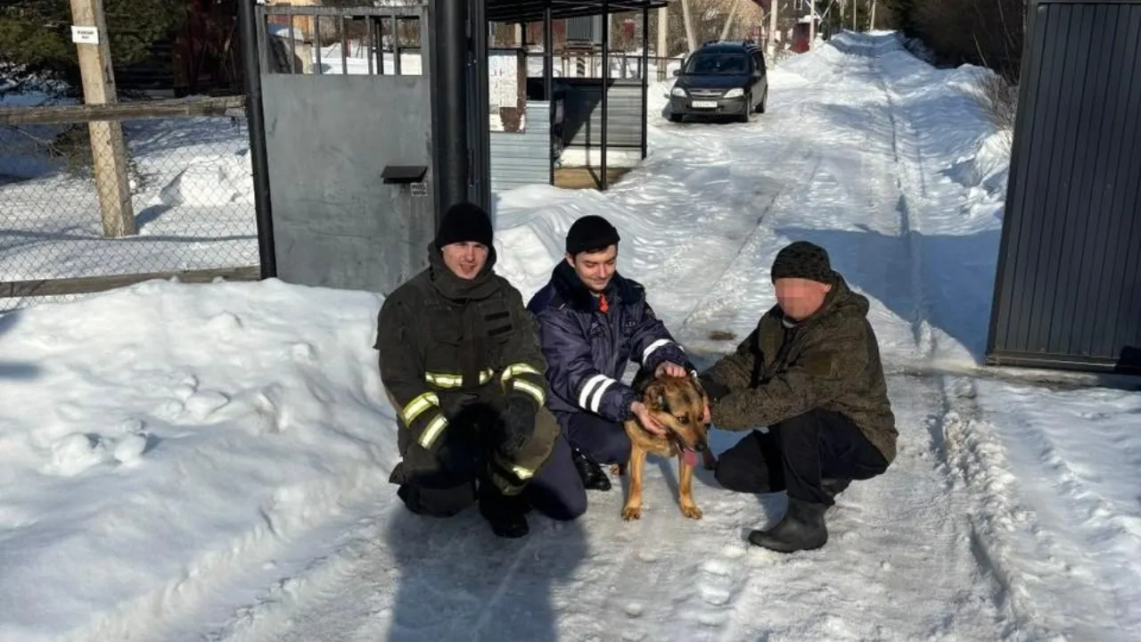 ГКУ МО «Мособлпожспас»