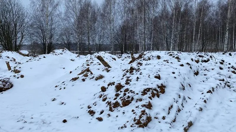 Источник: Минэкологии МО