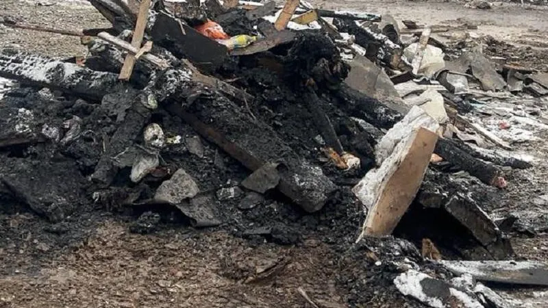 Фото: Министерство экологии и природопользования Московской области