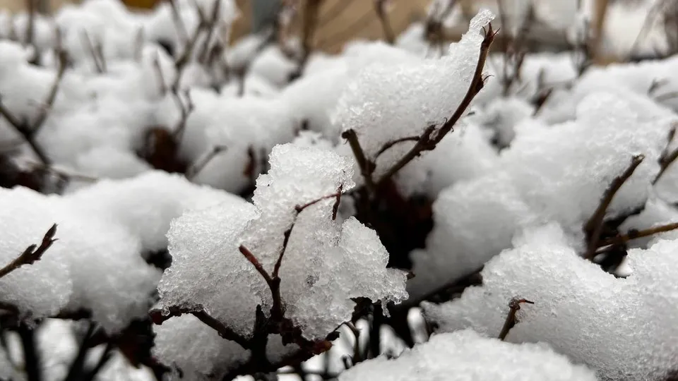 Фото: REGIONS/Елена Фурман