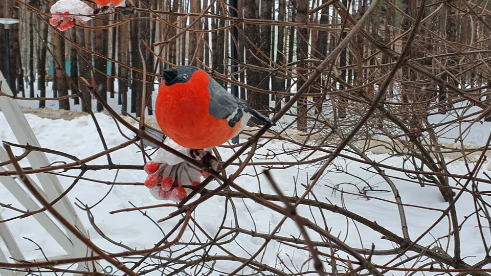 Фото: REGIONS/Наталия Надточая