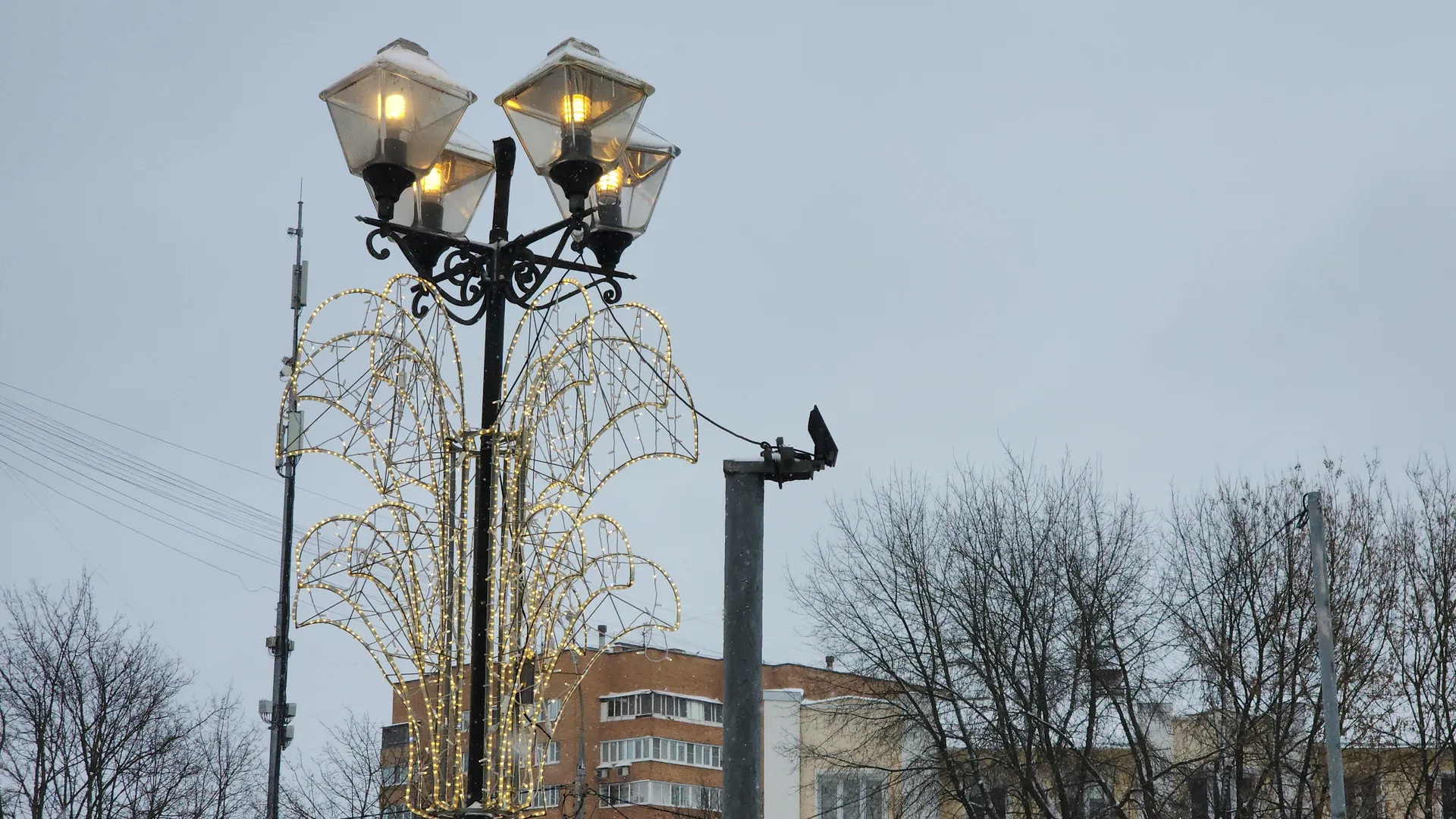 Фото: медиасток.рф