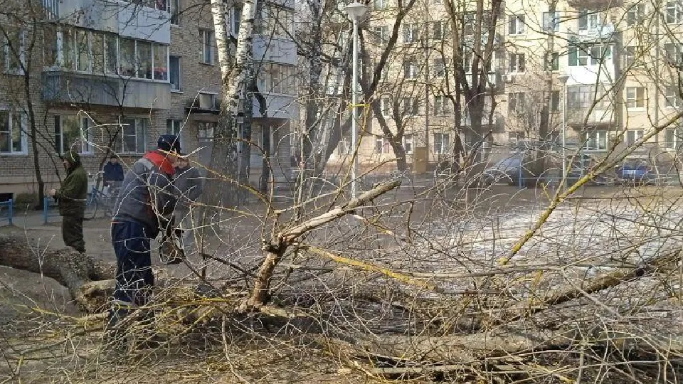 Фото: пресс-служба администрации г.о. Дубна