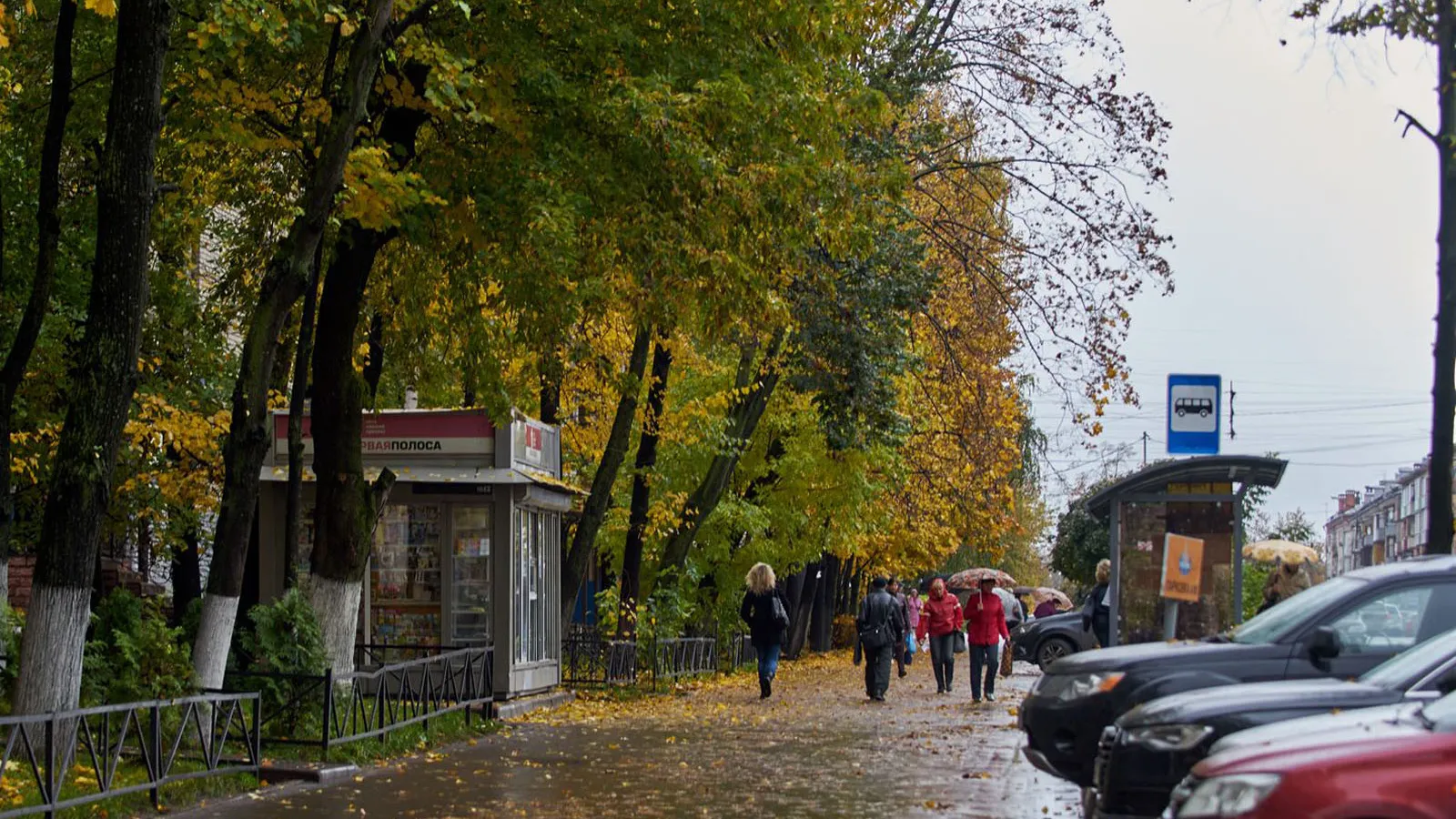 Фото: медиасток.рф