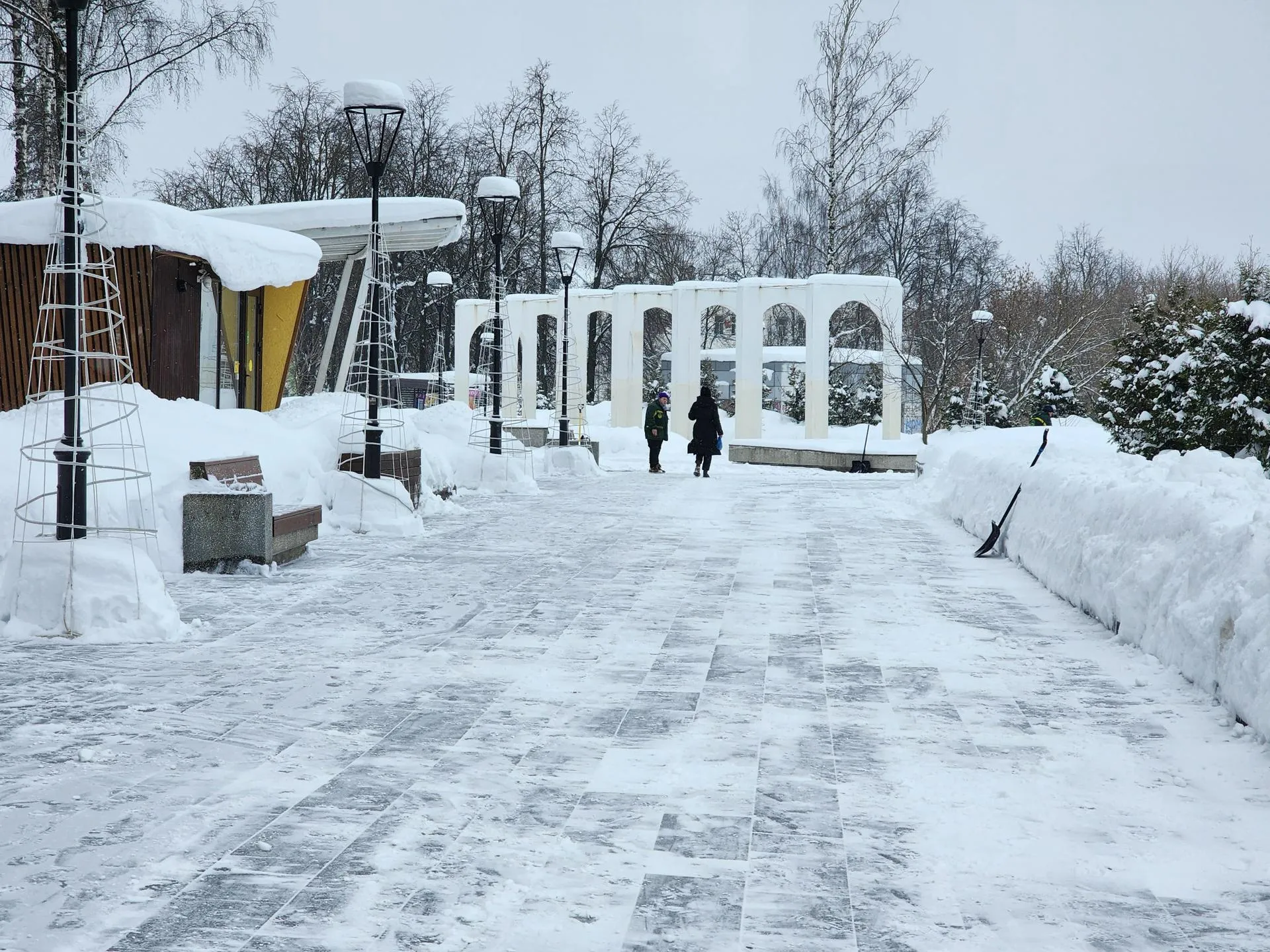 REGIONS/Елена Шумакова