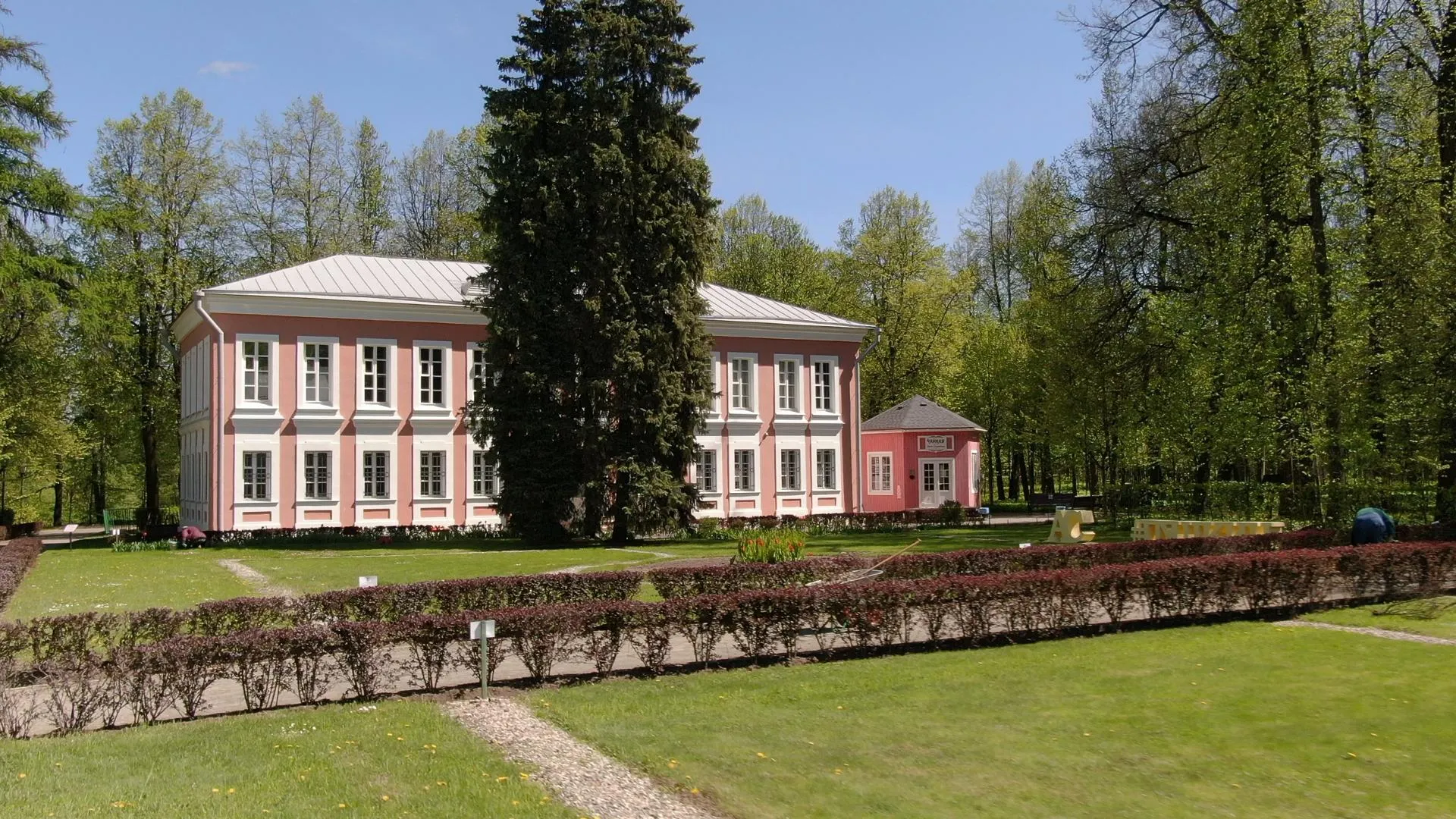 Ксения Борцова