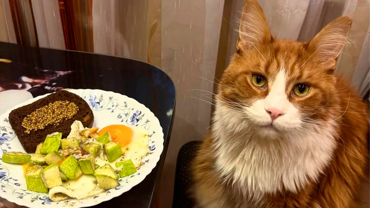 архив семьи Маркиных