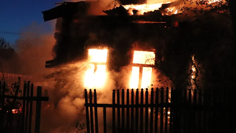 Фото: REGIONS/Василий Тремасов