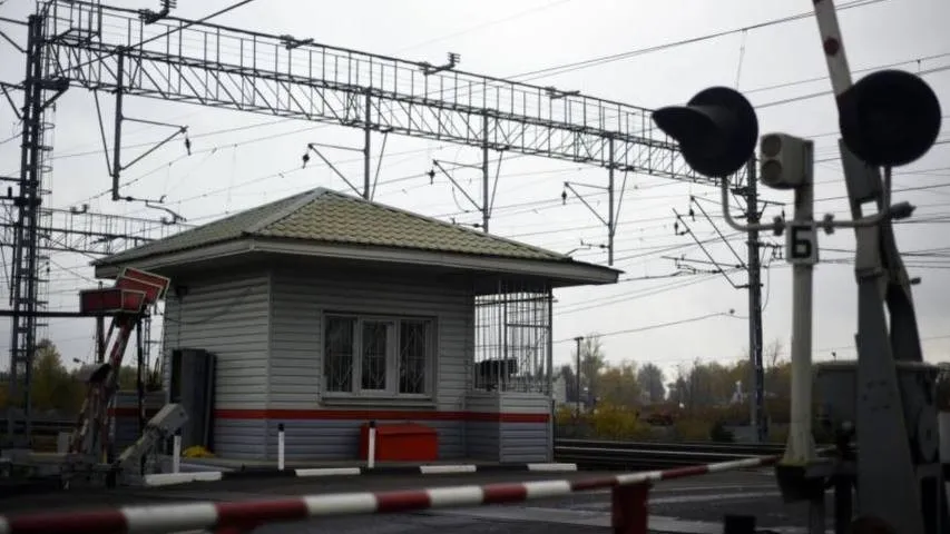 Фото: Медиасток Подмосковья