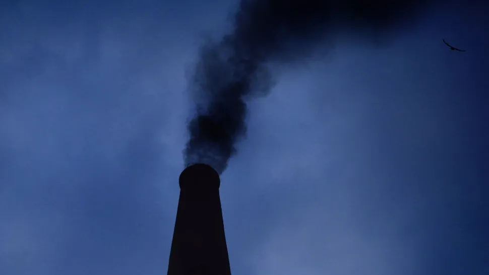 Фото: pxhere.com