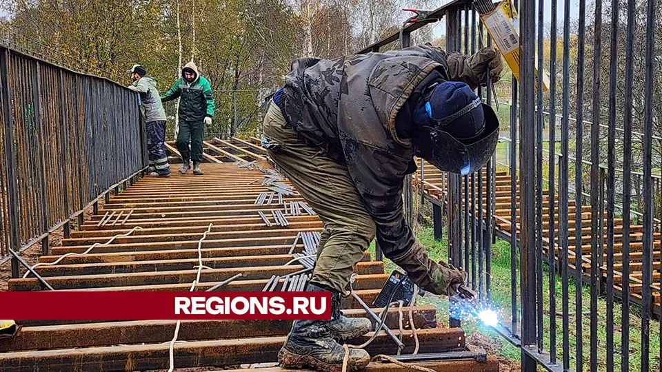 Фото: Дмитрий Беденко