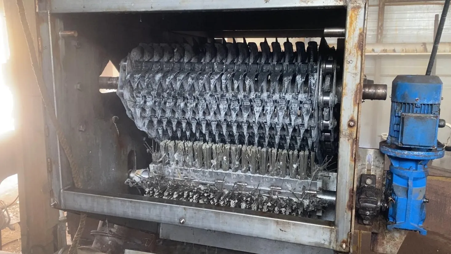 Анна Артюшина