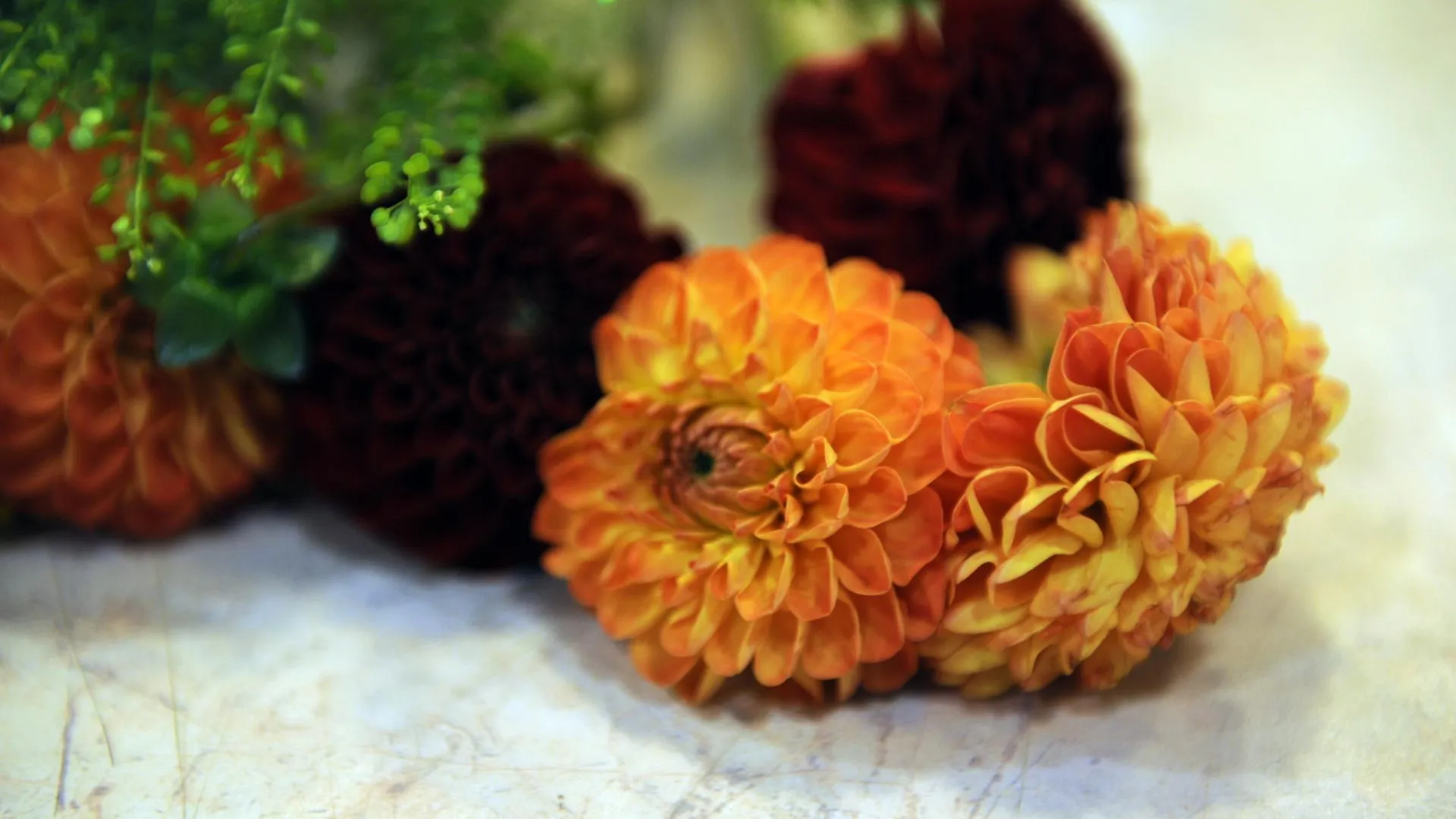 медиасток.рф