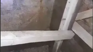 Фото из соцсетей