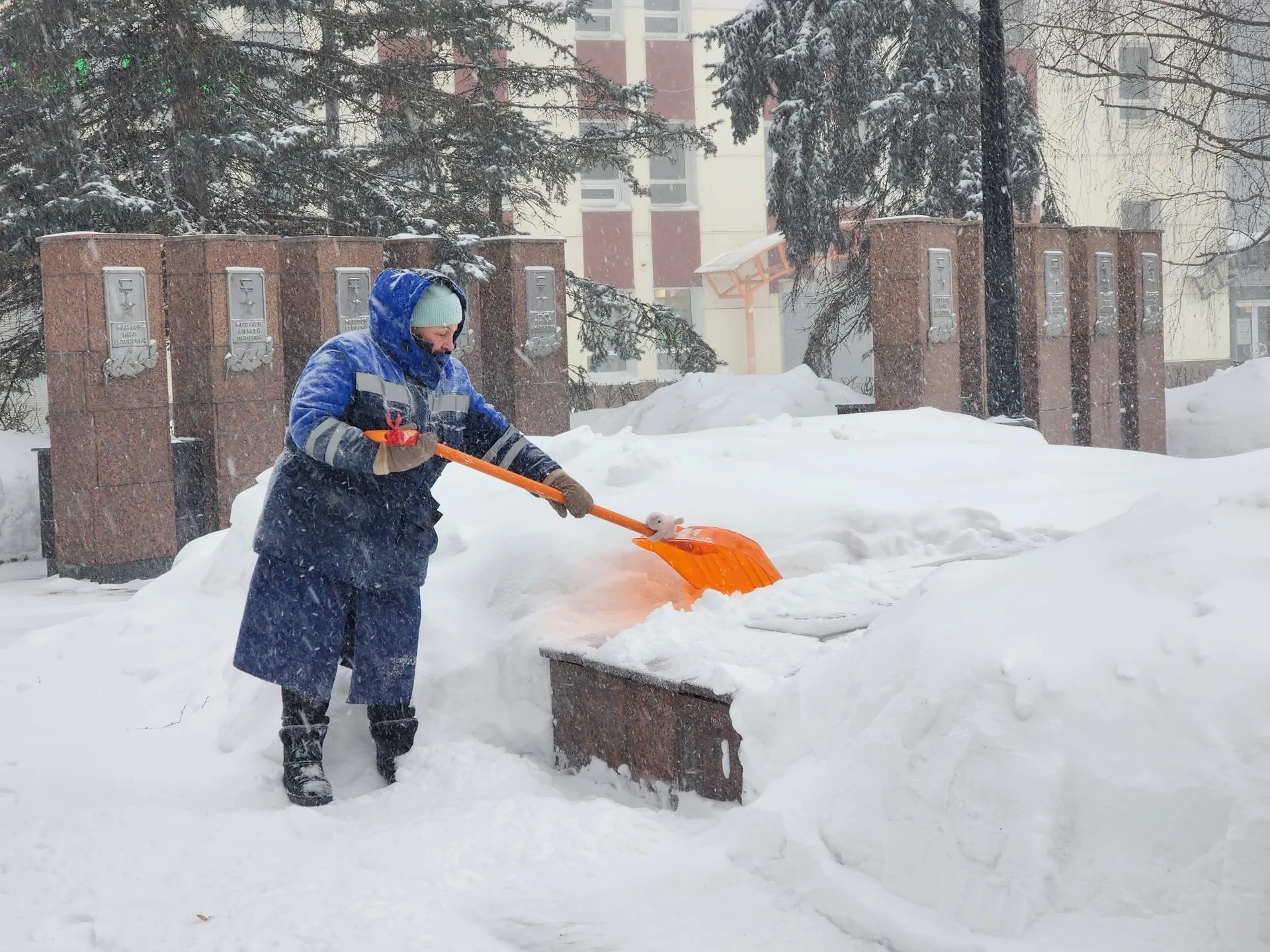 МедиаБанк Подмосковья/Ольга Аввакумова
