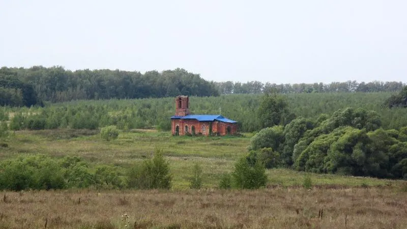 Антон Саков / Подмосковье сегодня