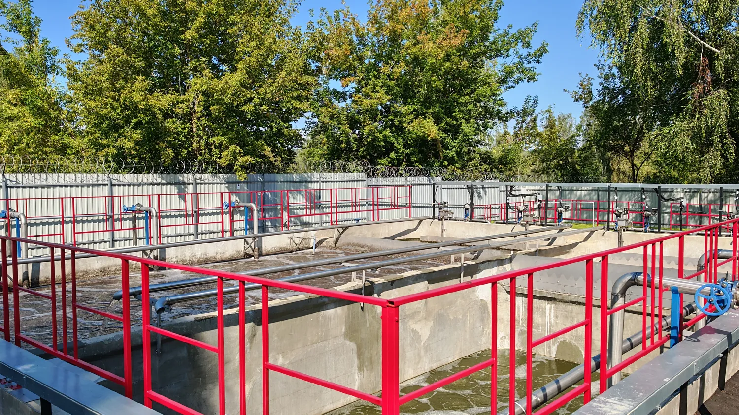 Фото: Станислав Орлов