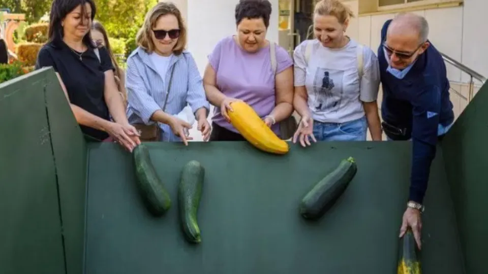 Фото: Министерство по содержанию территорий и государственному жилищному надзору Московской области