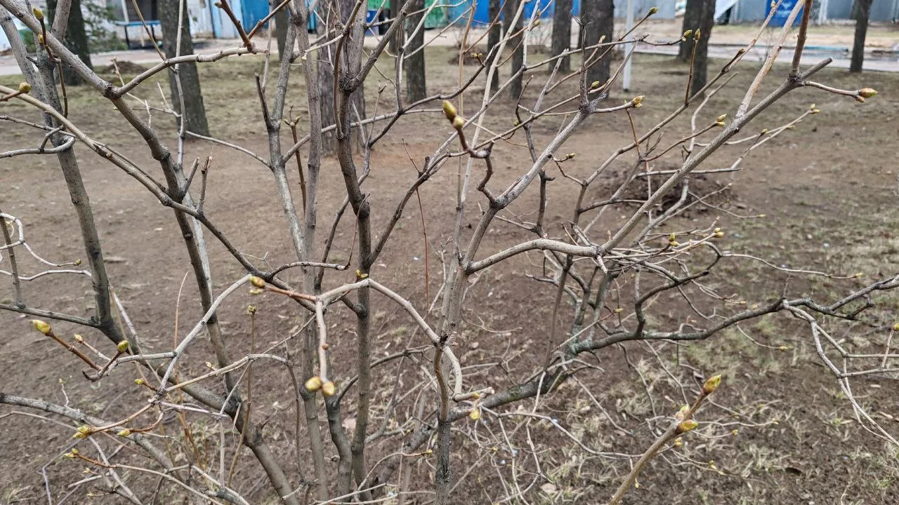 Фото: REGIONS/Юлия Павлова