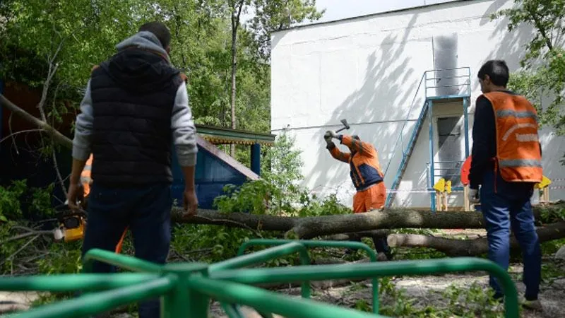 Синоптик: сегодня и завтра ураган в Москве не ожидается