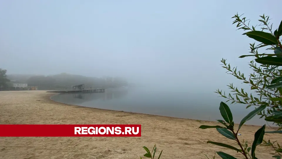 REGIONS/Фото: Алена Мельникова