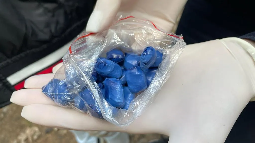 Фото: ОМВД России по г.о. Лобня