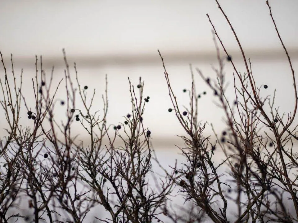 Погода на выходных обрадует жителей Подмосковья