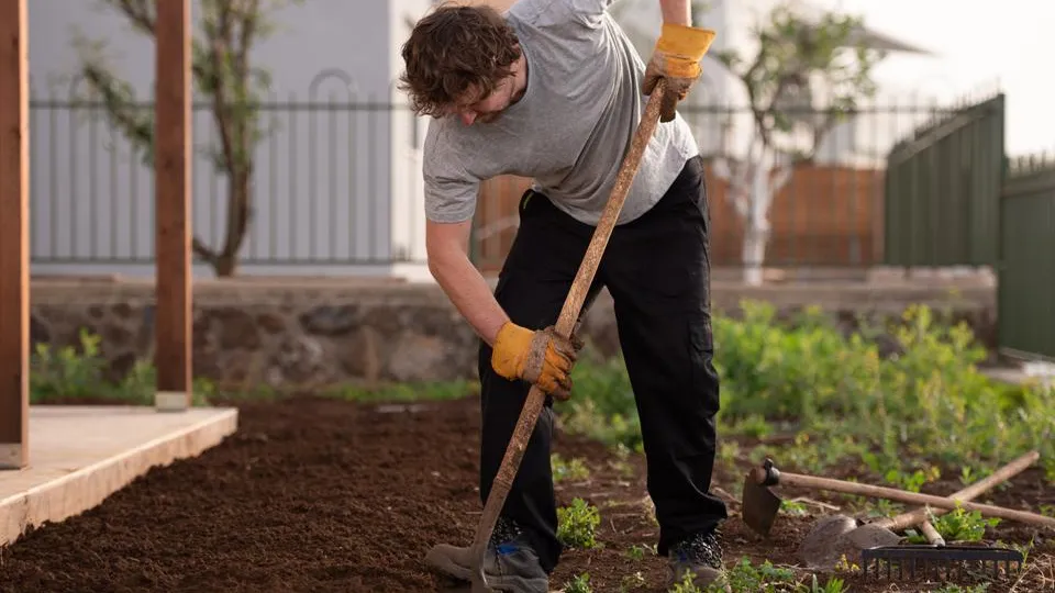 Фото: istockphoto.com