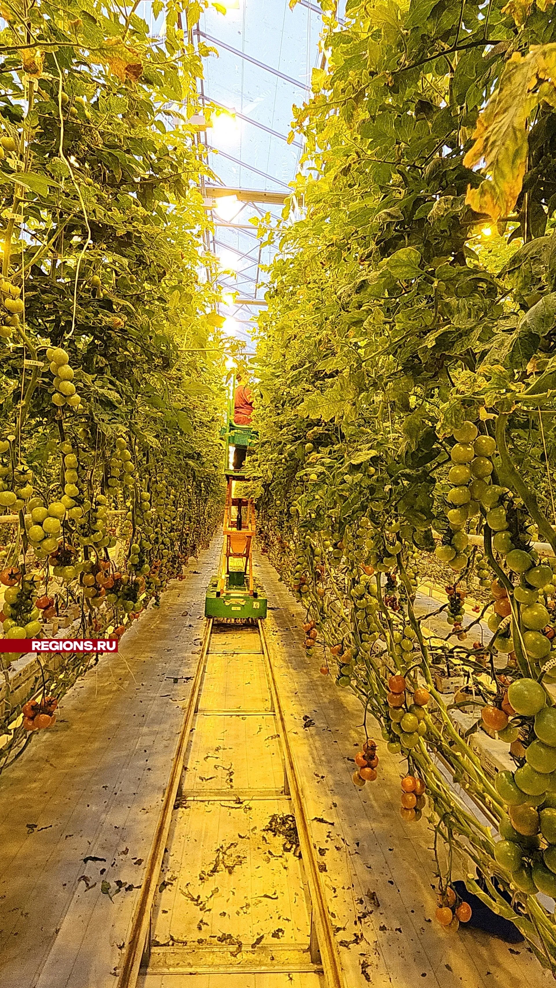 Фото: Нина Басистая