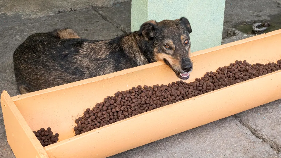 Фото: freepik.com