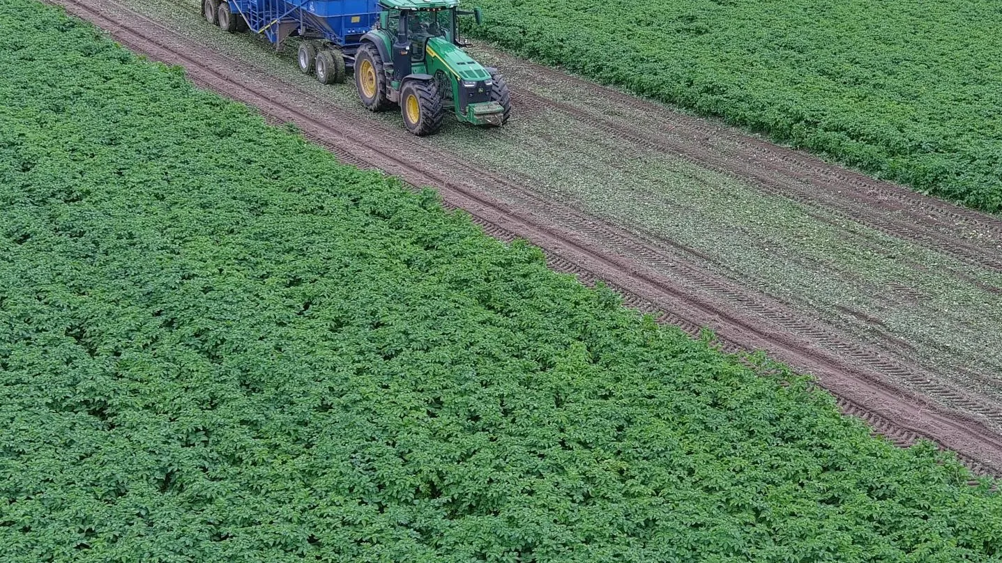 Фото: Минсельхозпрод МО