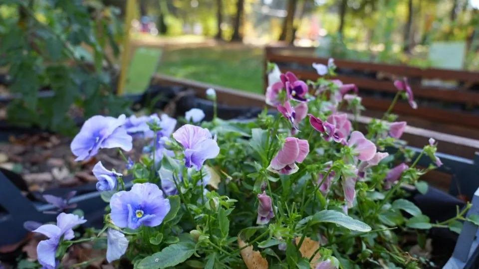 Фото: МедиаБанк Подмосковья/Дмитрий Зайчиков
